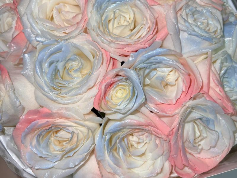 告诉桃花不用开了