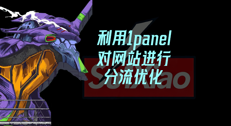 利用 1panel 对网站进行分流优化
