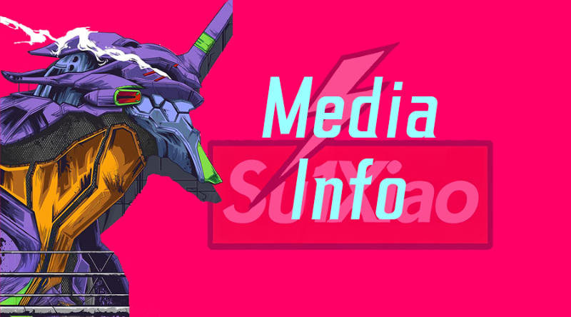 盒子查看种子mediainfo方法之一：安装mediainfo